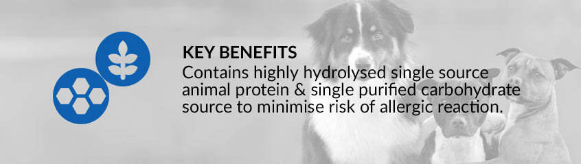 Key Benefits Banner 1