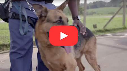 Max’s amazing transformation