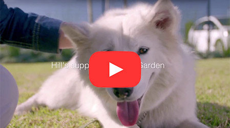 Lize & Holly: A new life together 