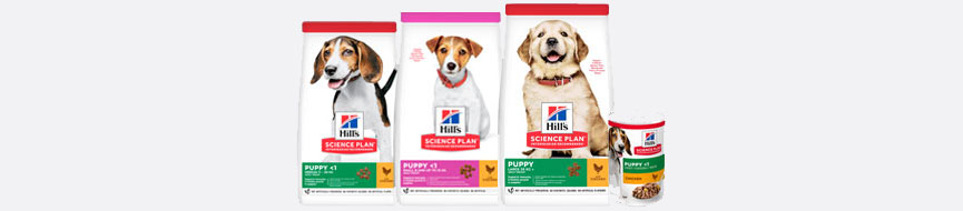 About Our Puppy Food featured image