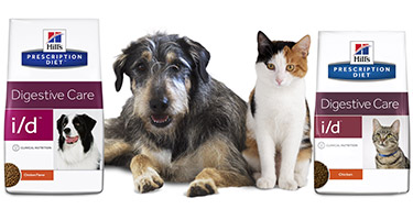  Don’t Let Stomach Problems Get between You and Your Pet