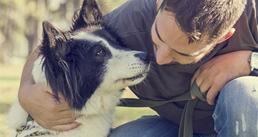 Do Dogs Feel Guilt or Shame?