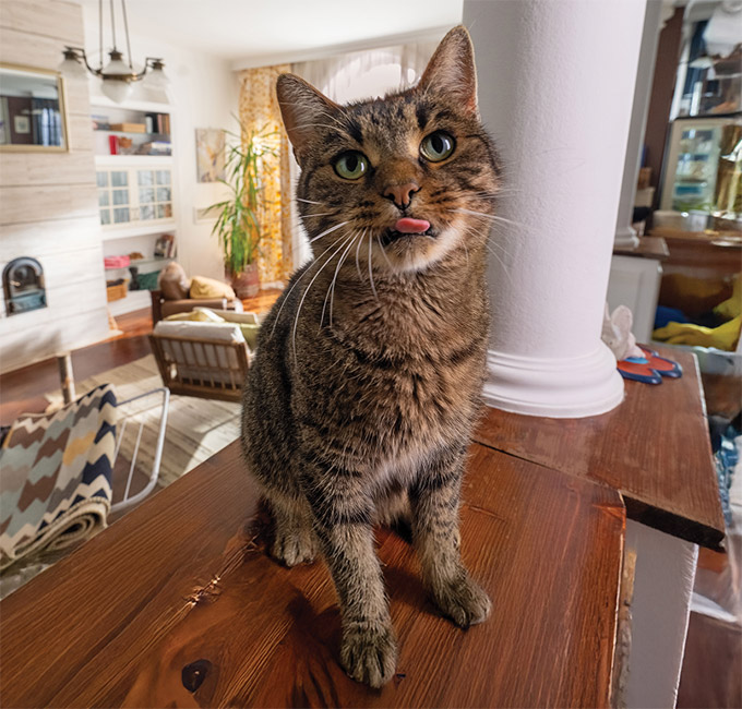 Science-led Nutrition, always. Creates differences you can see, feel and trust Image